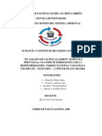 Articulo Original PDF