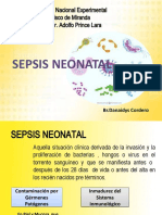 Sepsis Neonatal