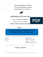 Memoire Final PDF