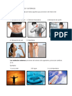 ESTÍMULOS INTERNOS Y EXTERNOS.docx