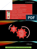 Unidad I. La Células Como Unidad Funcional PDF