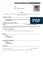 Formato Cv-Bolsa de Trabajo