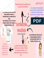 MINI RESUMEN Extraccin Poderosa PDF