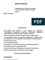 2_Protozoa.pdf