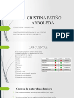 Clasificaion y Naturaleza de Las Cuentas_cristina Patiño