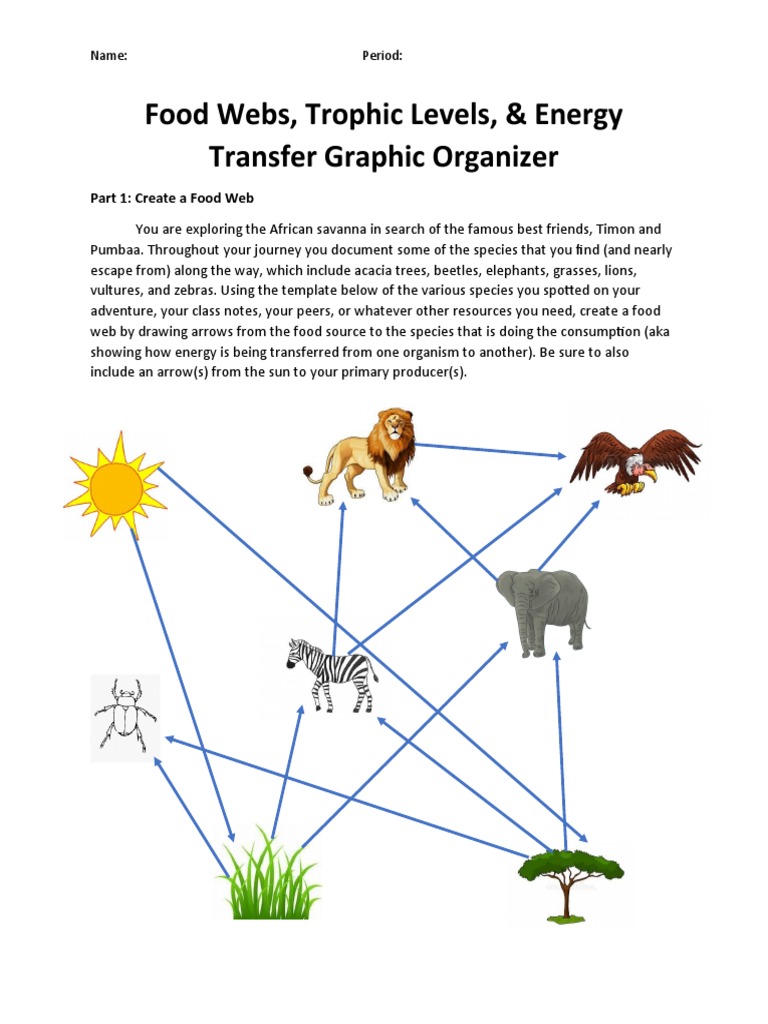 Ecology Go Key | PDF | Food Web | Herbivore