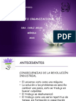 Comportamiento Organizacional