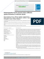 Cemento Radicular PDF