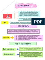 Insulinoterapia control glucosa  caracteres