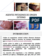 Agentes Patogenos Externos - Enfermedad PDF