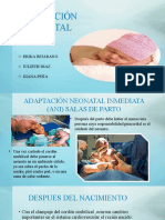 Adaptacion Neonatal Iii