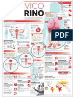 190510-24-cancer-uterino.pdf