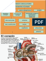 aparatocirculatorio 2.ppt