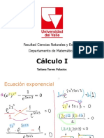 Clase 15 - Taller - Funciones Exponenciales y Logarítmicas PDF