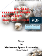 Farmers Guide to Mushroom Spawn Production