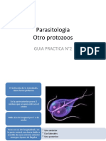 9guia Practica 2 Parasitologia