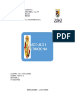 MODULO 1 Nutricion