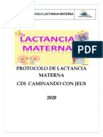 Protocolo de Lactancia Materna 2020