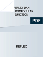 reflex-dan-neuromuscular-junction