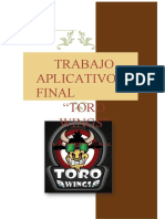 TAF-TORO-WINGS-ultimo