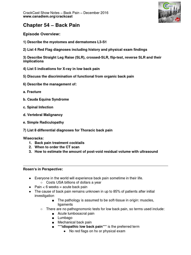 Back Pain Assessment and Management Guide | PDF | Back Pain | Vertebra