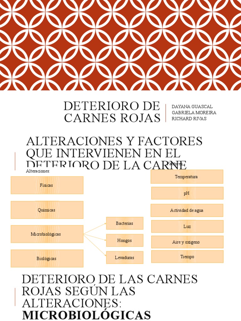Deterioro de Carnes Rojas: Factores y Alteraciones | PDF | Las ...