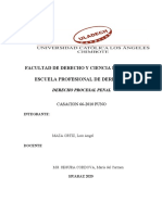 Resumen de Casacion 66-2010 Puno