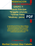 Proyecto de Identidad: Grupo 7: Kevin Principe Briggite Oriundo Gilmer Pelaez Maliney Penadillo