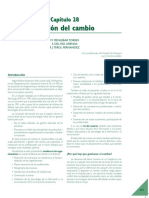[PD] Documentos - Gestion del Cambio.pdf