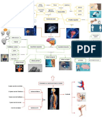 Mapa Mental SN Central PDF