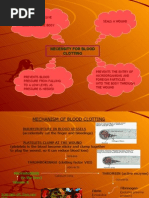 Blood Clotting