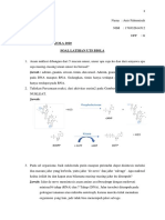 8. Anis Fahrunisah Tugas Soal Latihan UTS BIOLA.pdf