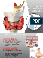 Endokrine Žlezde