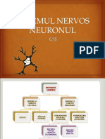 Neuronul 1