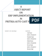 50408913-49935917-ERP-Implementation-project-report.doc