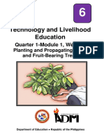 Technology and Livelihood Education: Quarter 1-Module 1, Week 1