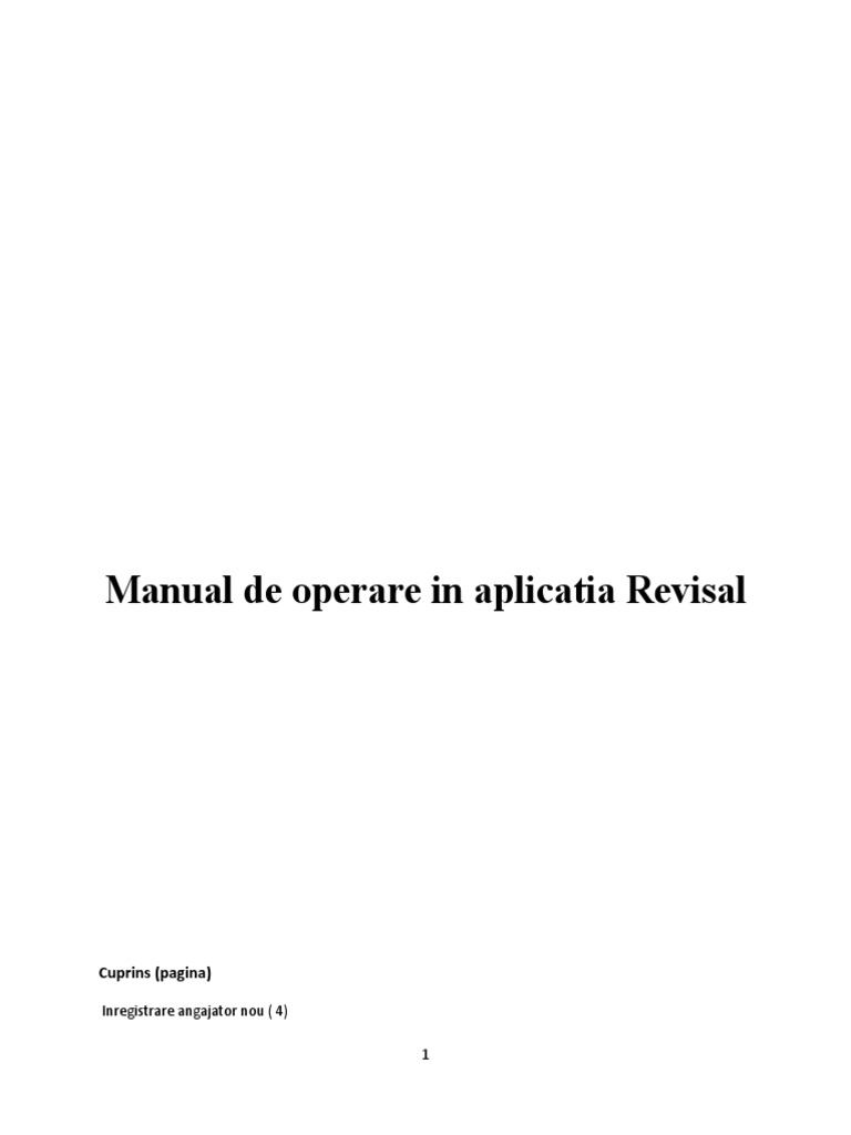Manual Revisal | PDF