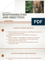 Audit Responsibilities and Objectives