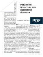 Potassium Deficiency Citrus