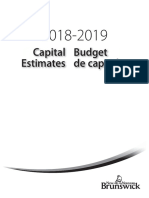CapitalEstimates2018 2019BudgetDeCapital