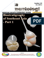 BS29 Biostratigraphy SEAsia M PDF