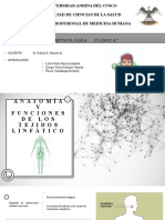 1 Anatomía y funciones de los tejidos linfáticos