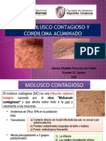 Molusco Contagioso y Condiloma Acuminado