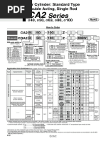 Series: CA2 Z Z B B 50 50 100 100 M9Bw Cda2