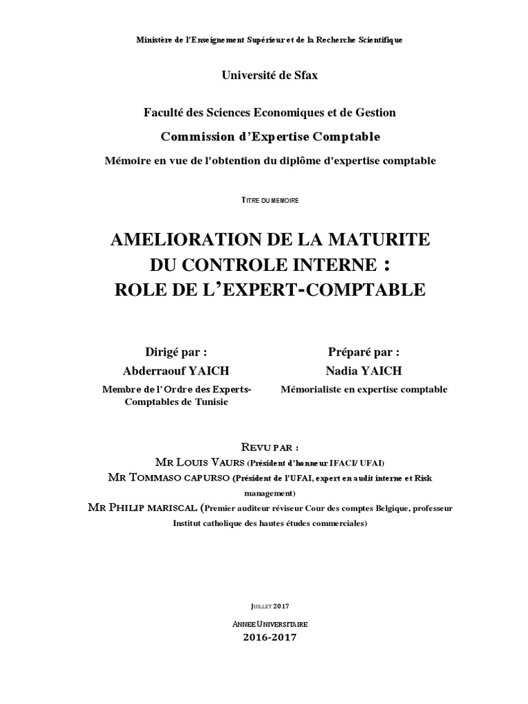 Déclaration Sur L Honneur Attestant Disposer De Ressources Suffisantes Controle Interne PDF | PDF | Contrôle interne | Gestion des risques