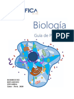 Guia de Laboratorio 2020-1 PDF