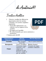 Neuroanatomía