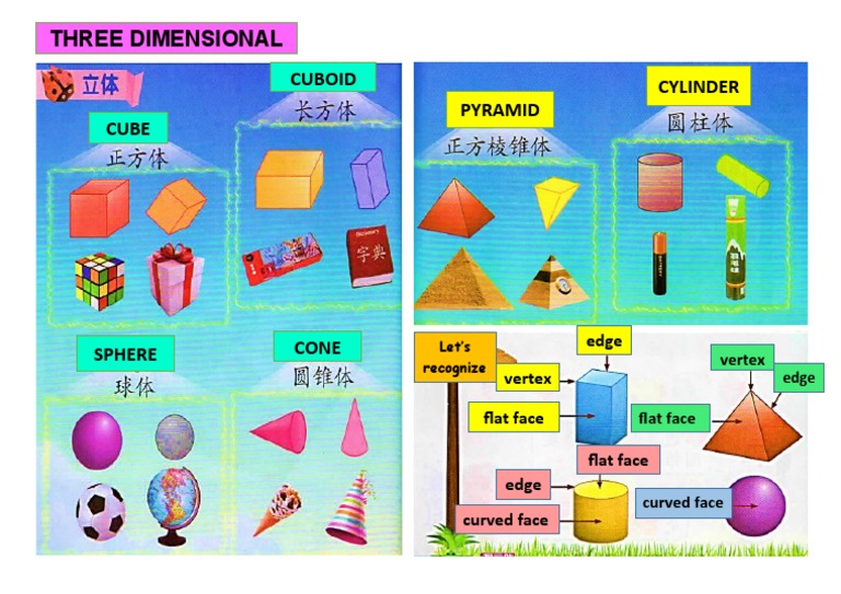 Three Dimensional: Cylinder Pyramid Cuboid Cube | PDF