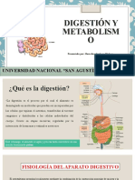 Digestión y Metabolismo