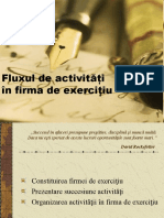 Fluxul de Activitati in Firma de Exercitiu